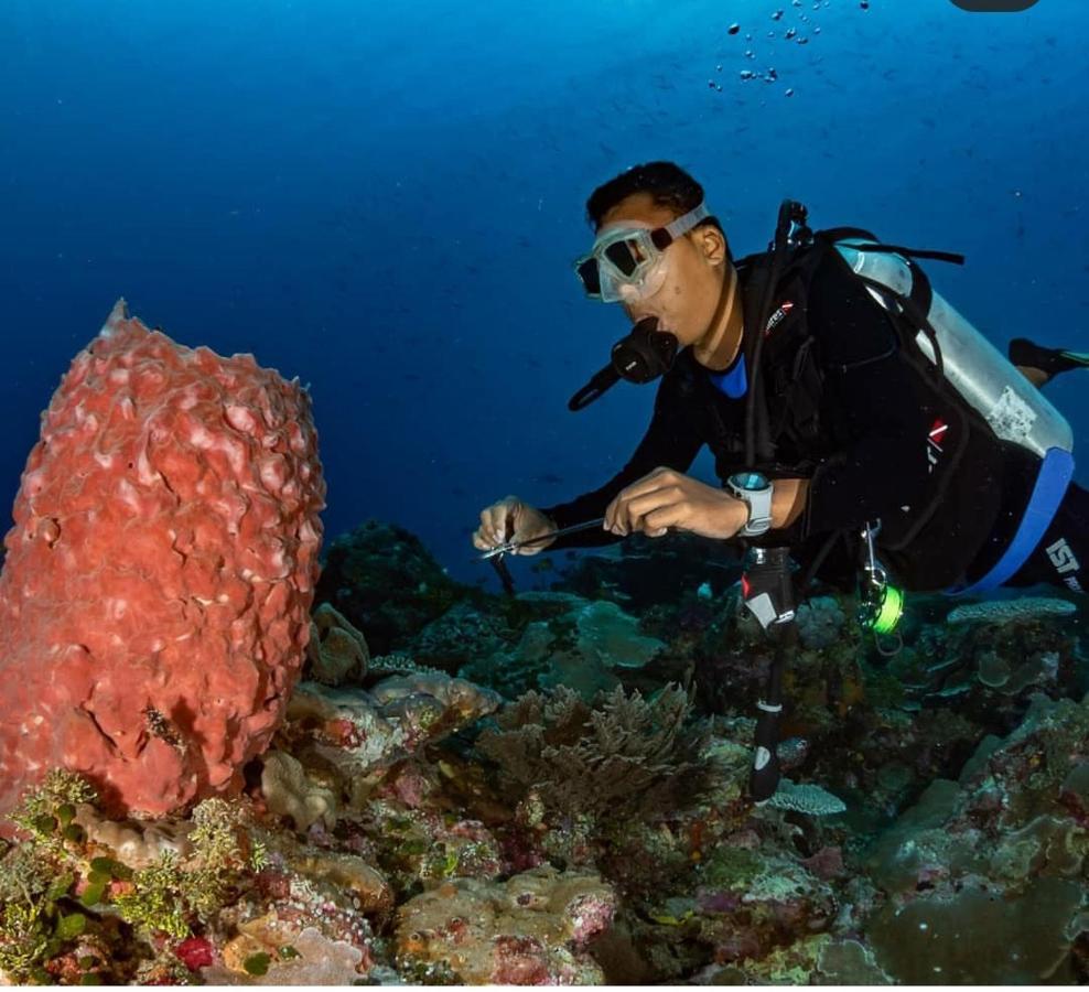 Marind Dive Eco Resort Waha エクステリア 写真