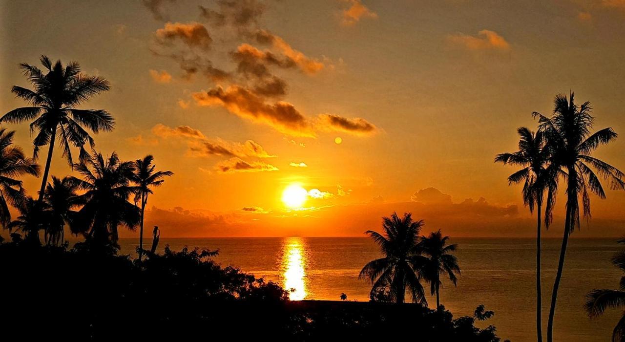 Marind Dive Eco Resort Waha エクステリア 写真
